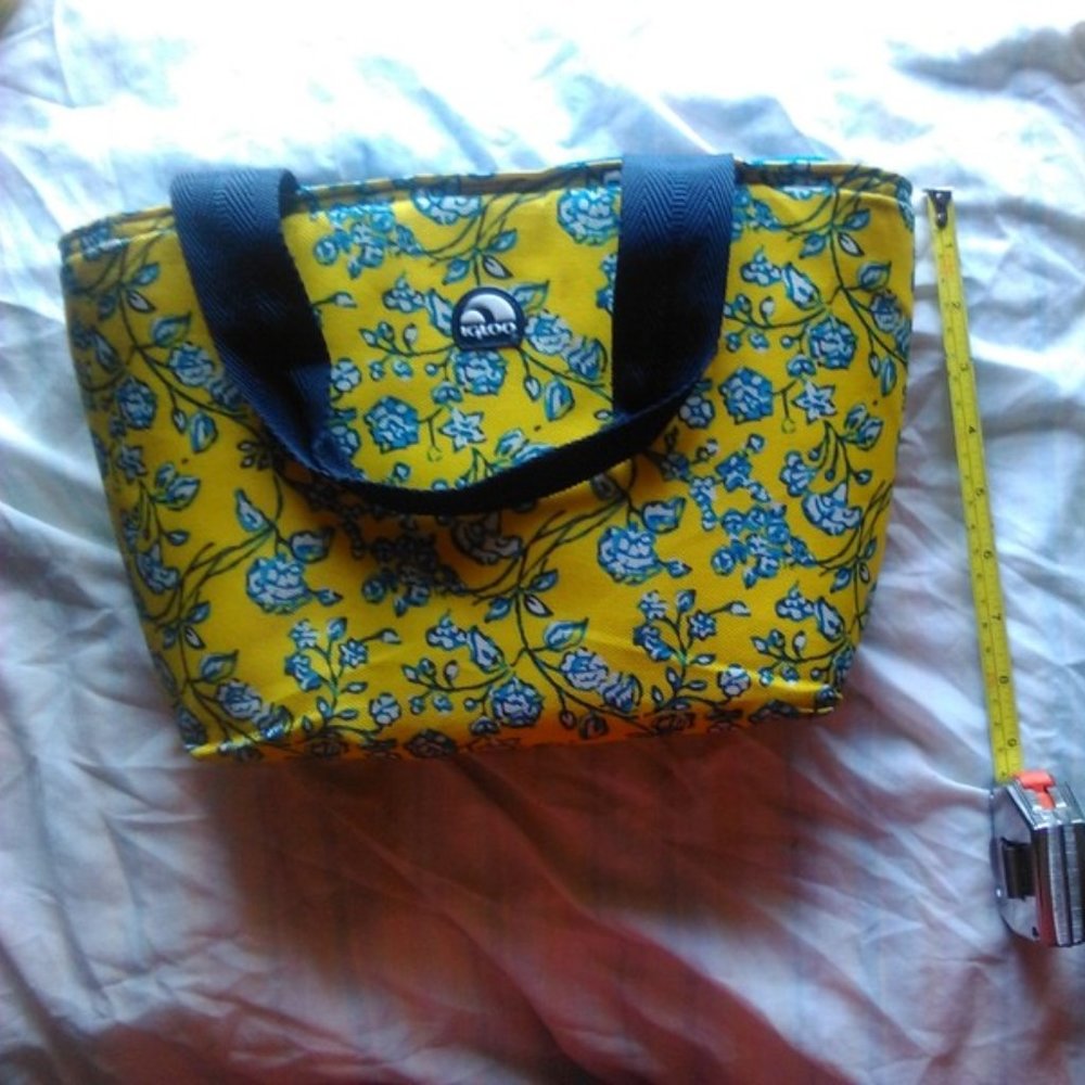 Igloo lunch tote Women,Insulated Thermal Lunch Tote Bag,Lunch Box